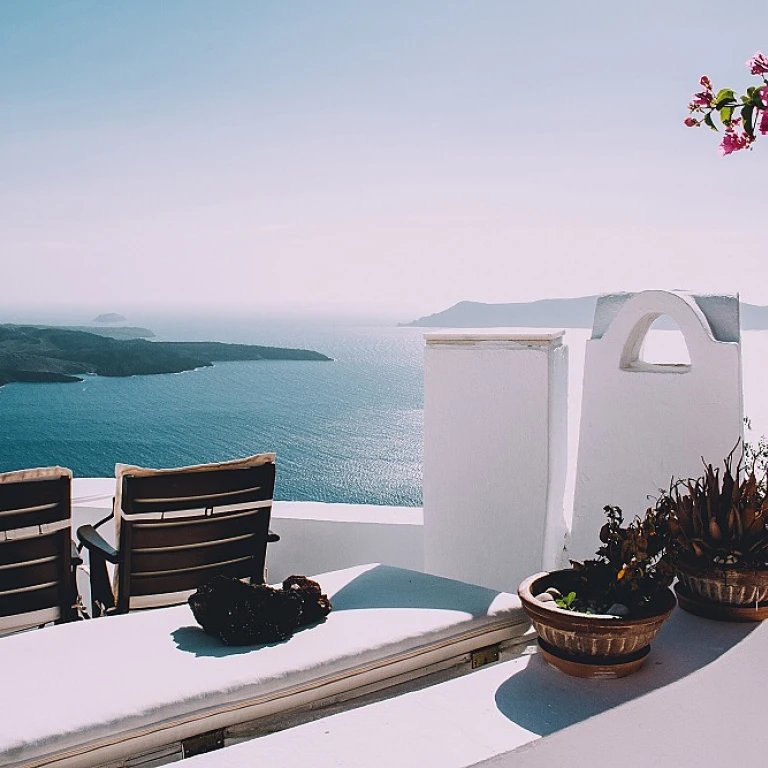 Understanding the Cost of Zillow Showcase for Exclusive Estates