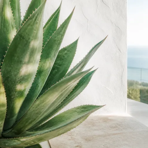 Why discerning buyers are turning to Ensenada homes for sale along the Baja California coast